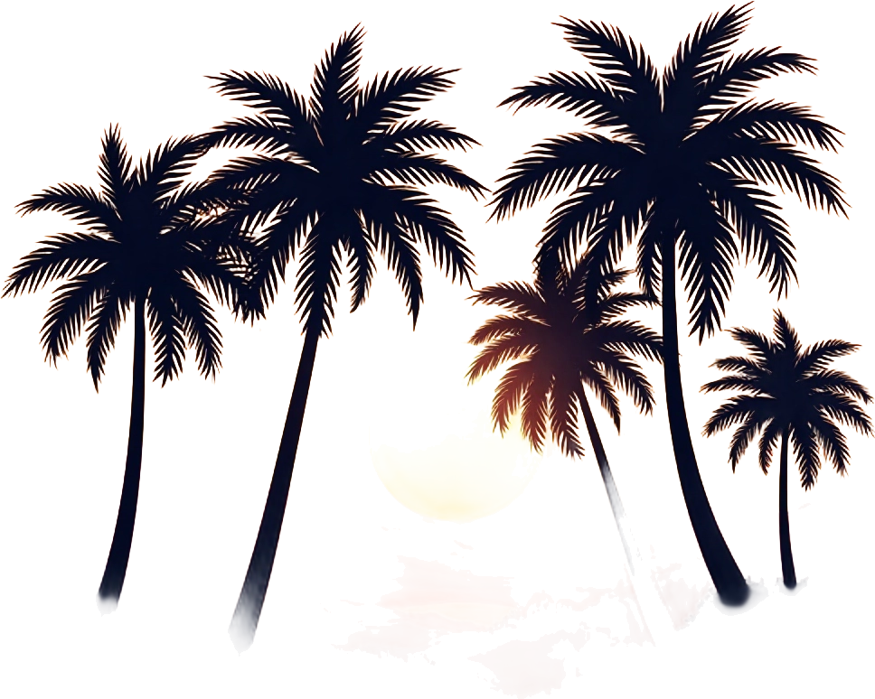 Tropical Sunset Silhouette